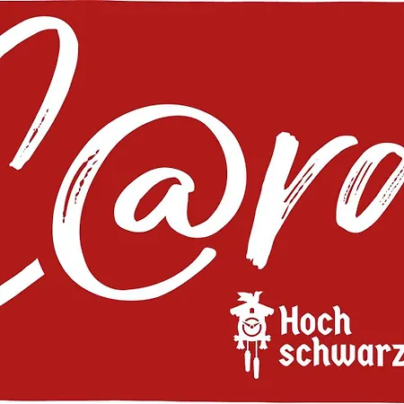 Apartamento Klein Mit Garten Feldberg (Baden-Wurttemberg)