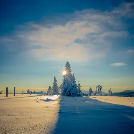 Klein Mit Garten Апартаменты Фельдберг