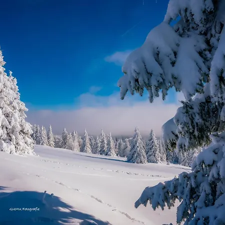 Klein Mit Garten 아파트 *