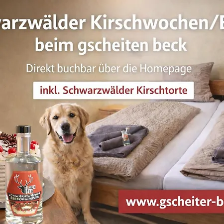 Appartement Klein Mit Garten