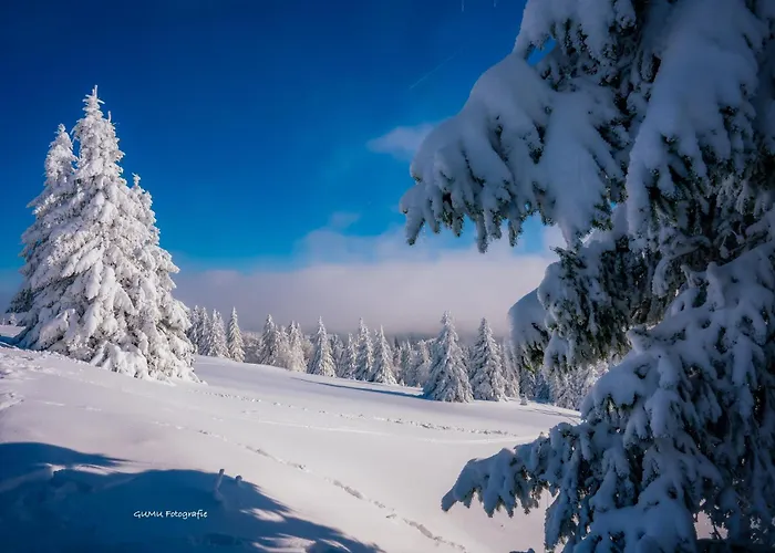 Klein Mit Garten 아파트 *